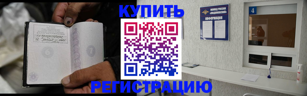 прописка для работы в Светлогорске